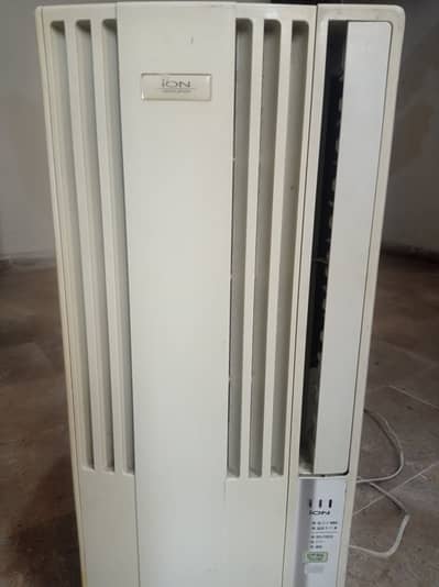 110 Japanese Imported Portable AC