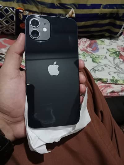 Apple iPhone 12