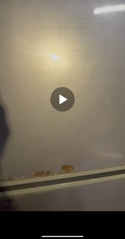 Home Used Haier Refrigerator For Sales