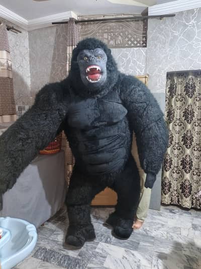 Gorila For Sale