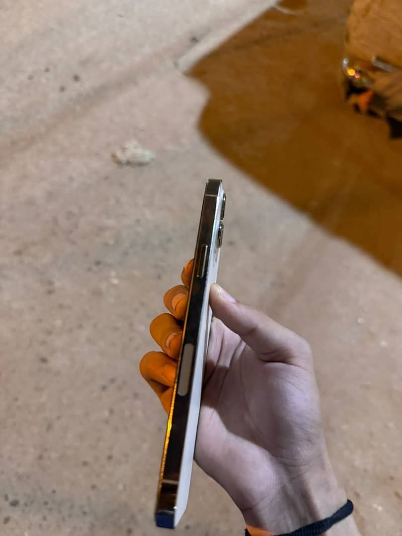 Apple iPhone 12 Pro Max 1