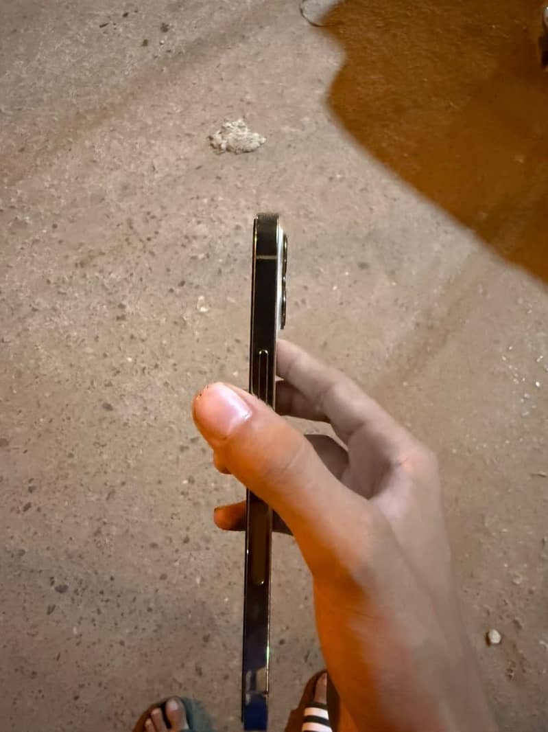 Apple iPhone 12 Pro Max 5