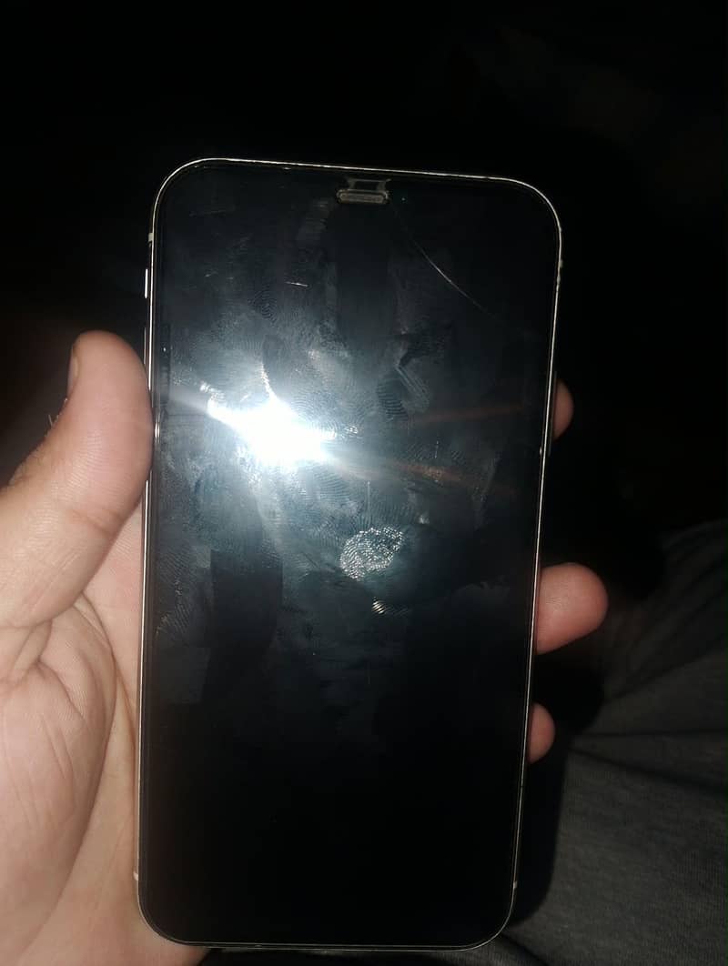 Apple iPhone 11 1