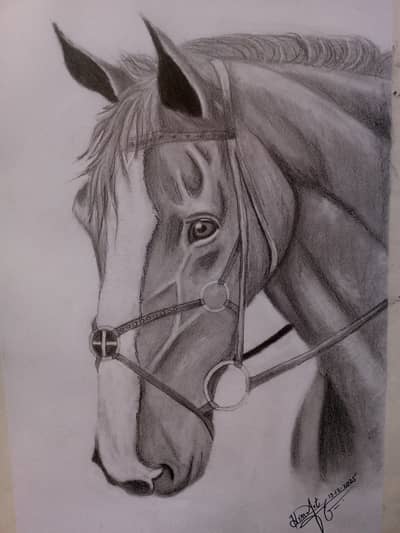 horse
