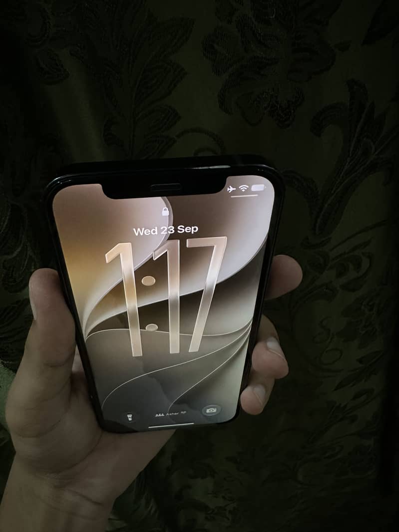 Apple iPhone 12 1