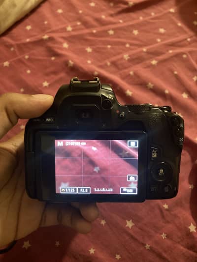 Canon EOS 250D + Sigma 17-70mm Lens