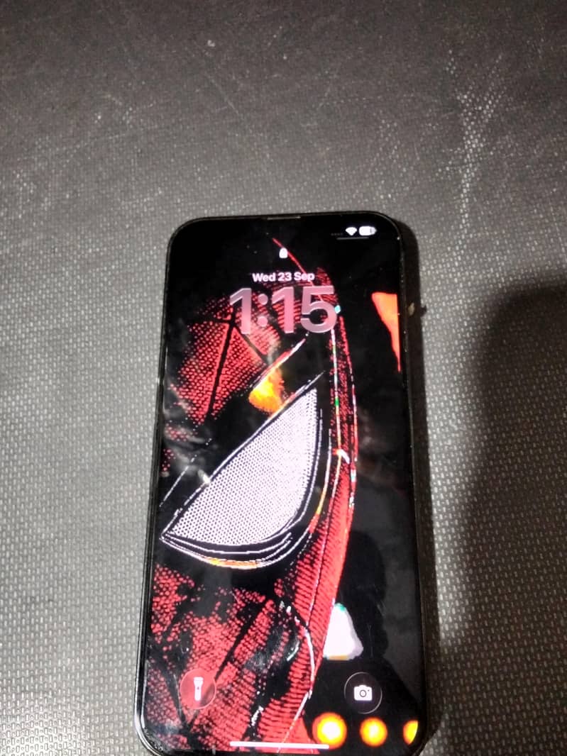Apple iPhone 13 Pro Max 1