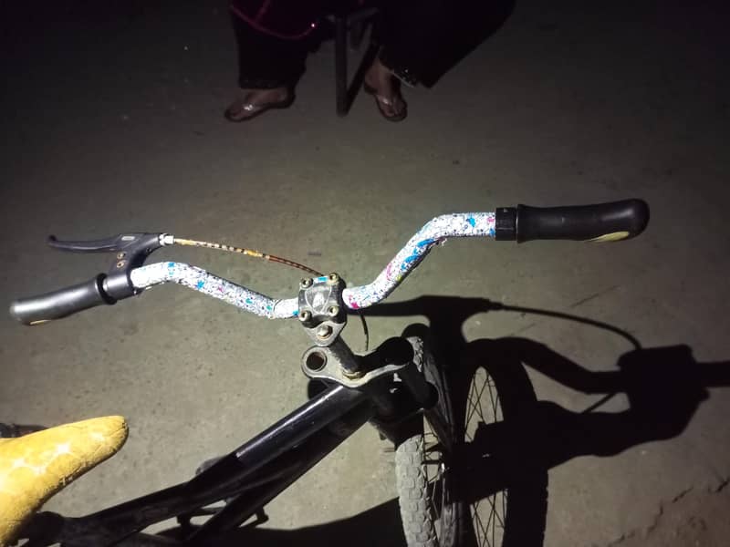 bicycle 4