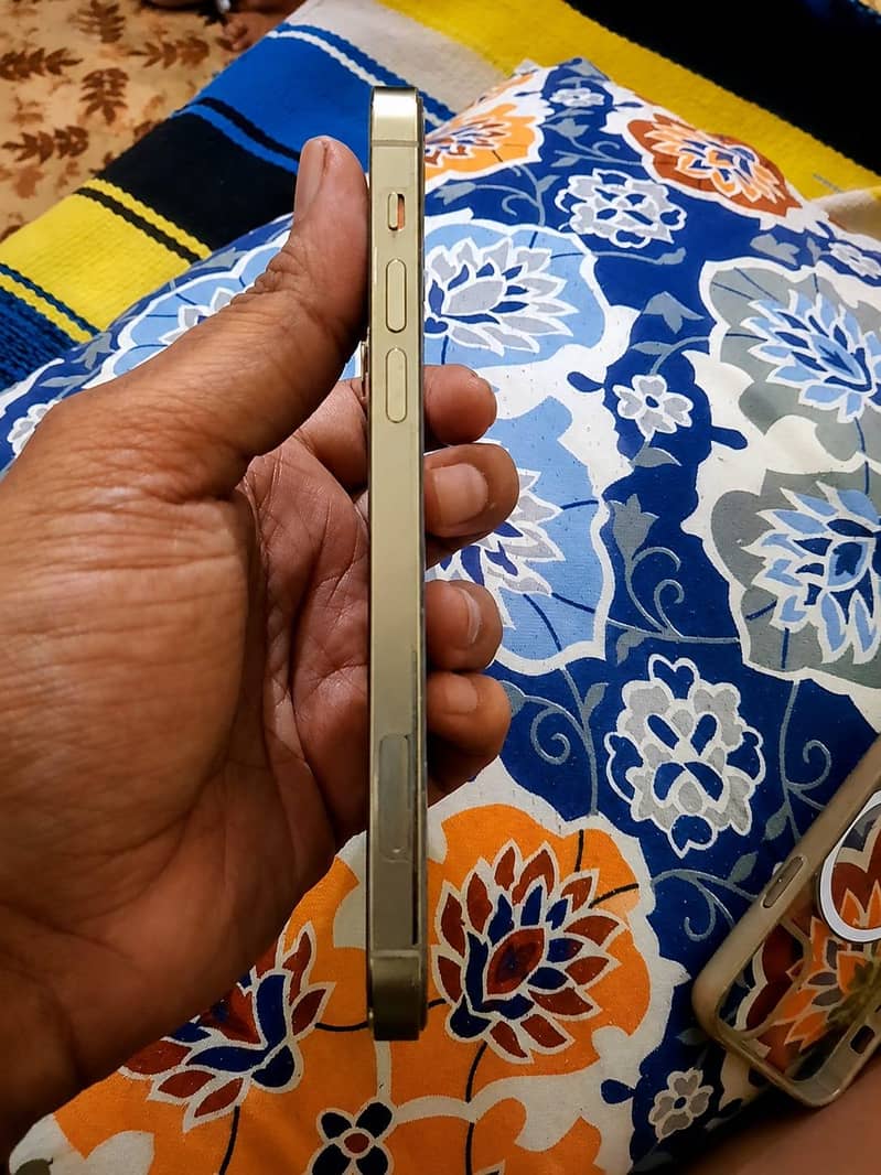 Apple iPhone 12 Pro 4