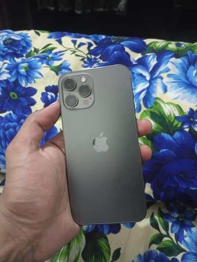 Apple iPhone 12 Pro Max