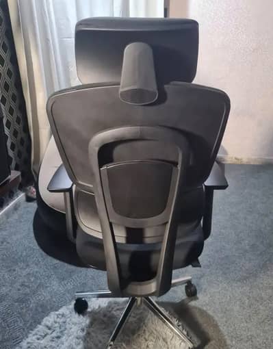 Ergonomic Chair