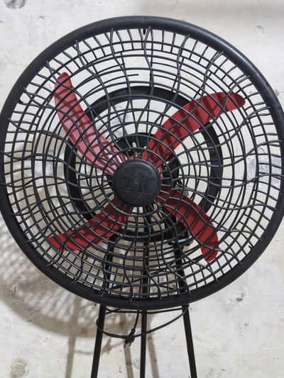 fan 12