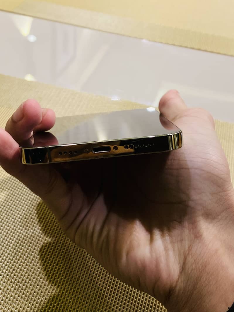 Apple iPhone 14 Pro Max 2