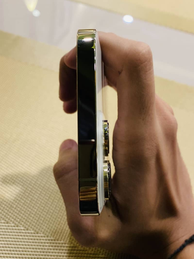 Apple iPhone 14 Pro Max 6