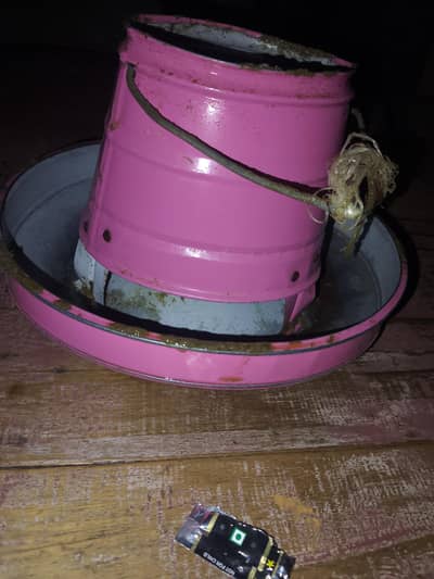 bird feeder