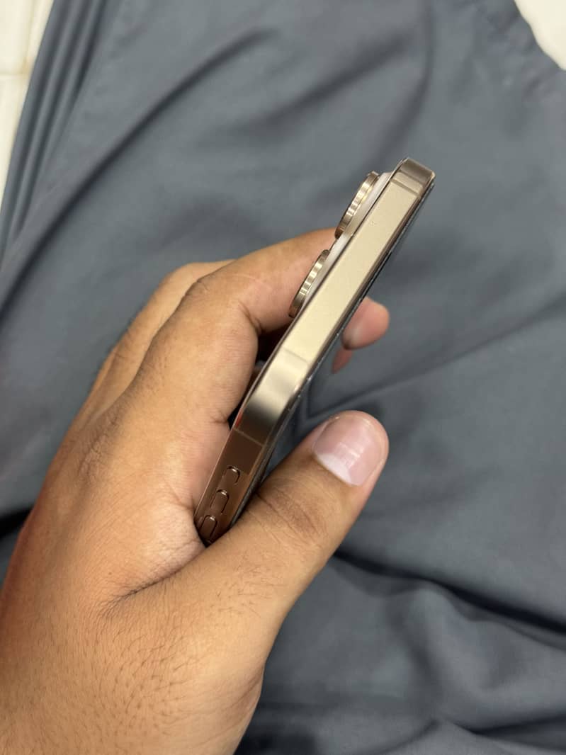 Apple iPhone 16 Pro Max 1