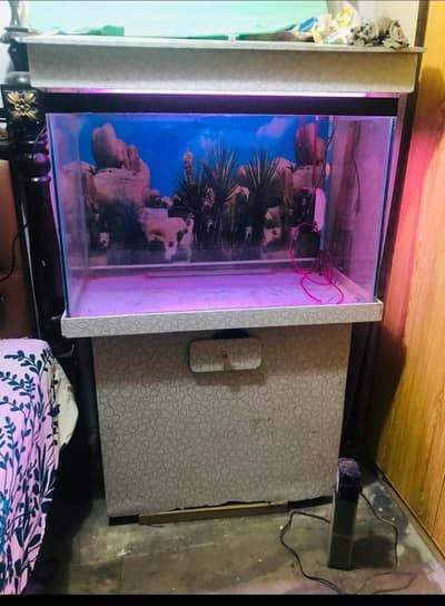 Aquarium| Fish aquarium| Water tank