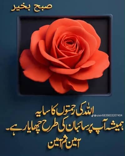 Special kari gar ho dahi bhalla our fruit chata k
