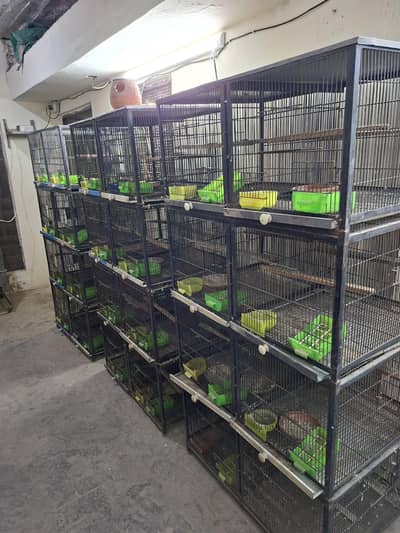 Cages for lovebirds/bujris/finches/pigeons