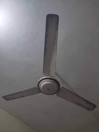 ceiling fan 56"