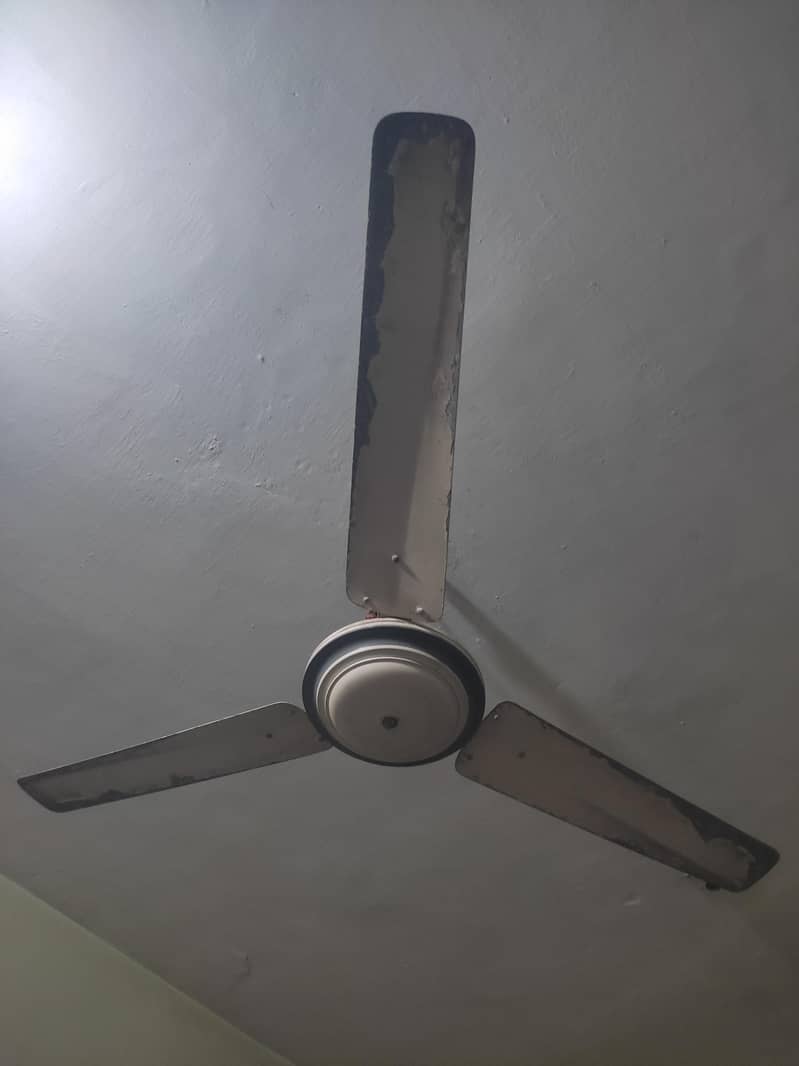 ceiling fan 56" 0