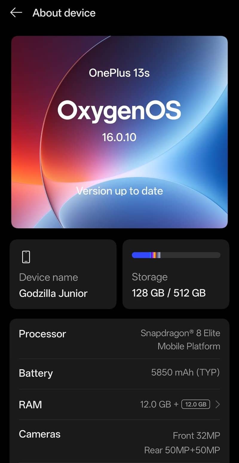 OnePlus 13S 6