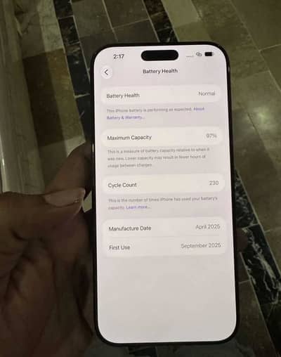 Apple iPhone 16 Pro Max