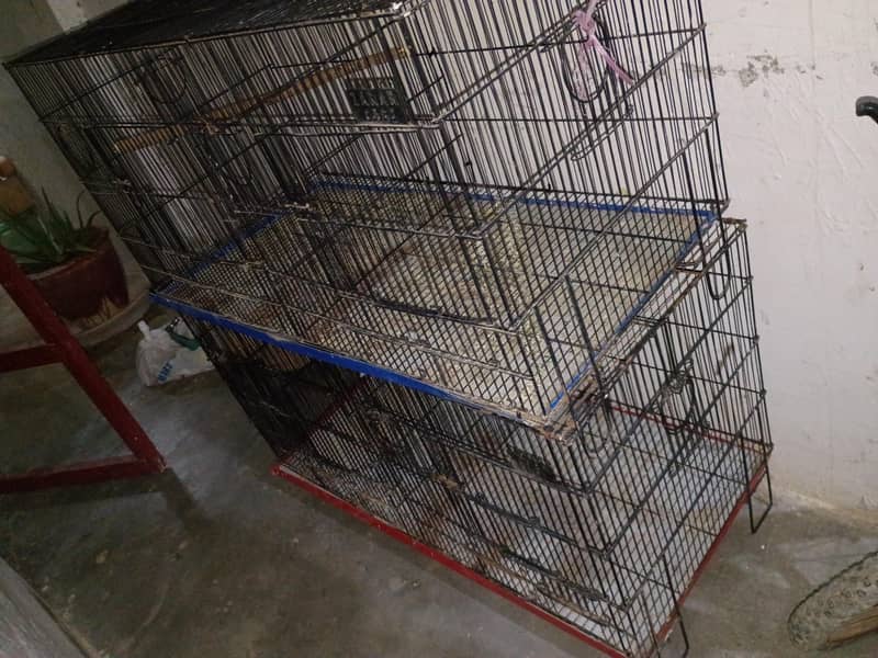 folding cage 5