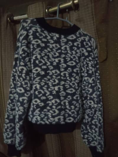 sweatshirt.