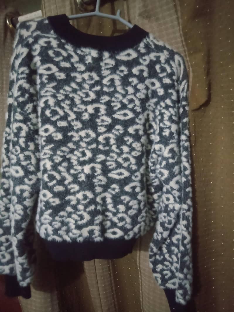 sweatshirt. 1
