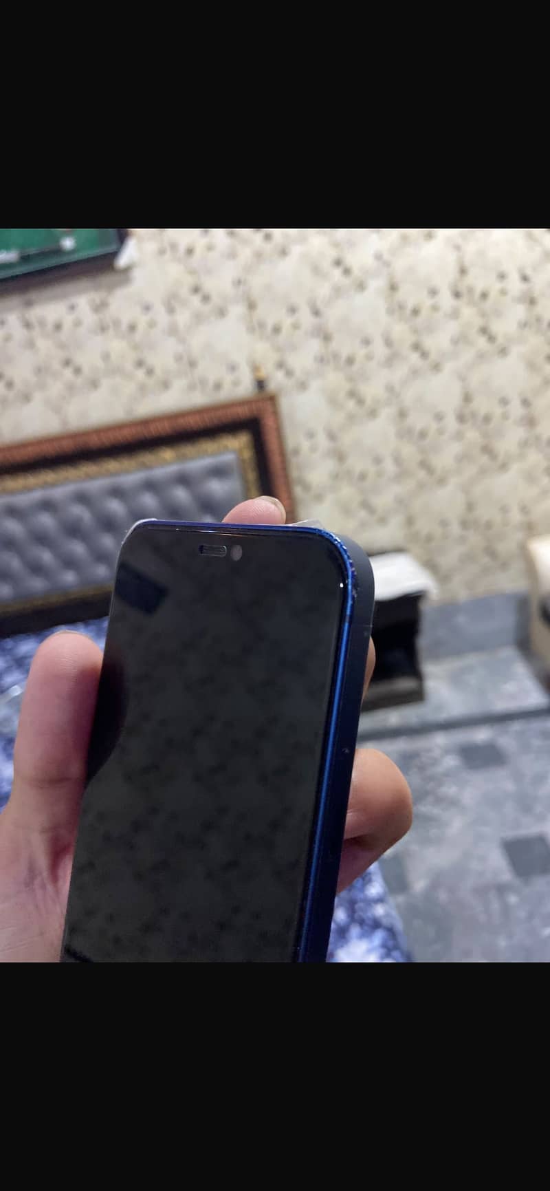 Apple iPhone 12 1