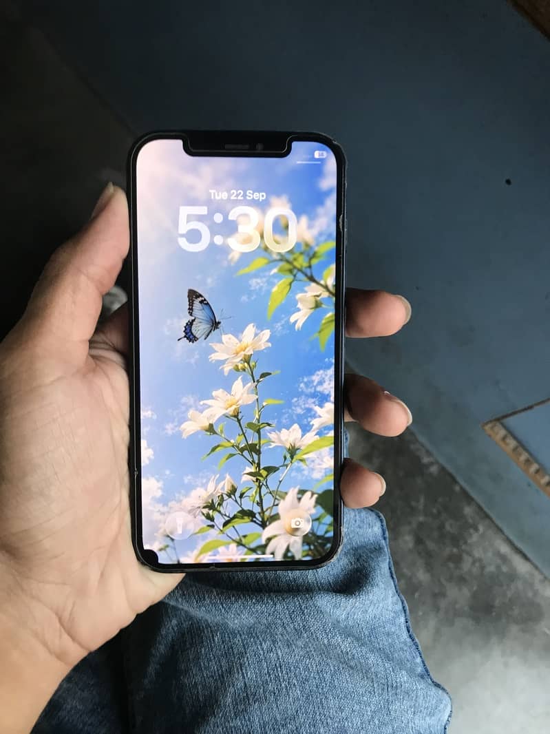 Apple iPhone 12 3