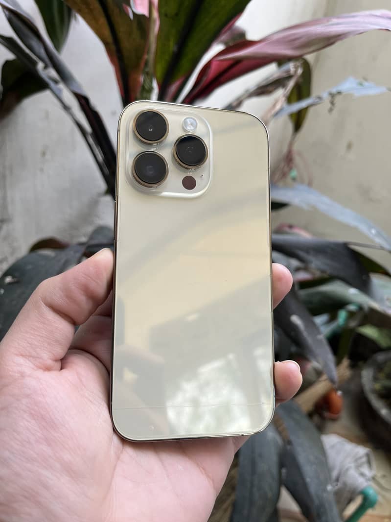 Apple iPhone 14 Pro 0