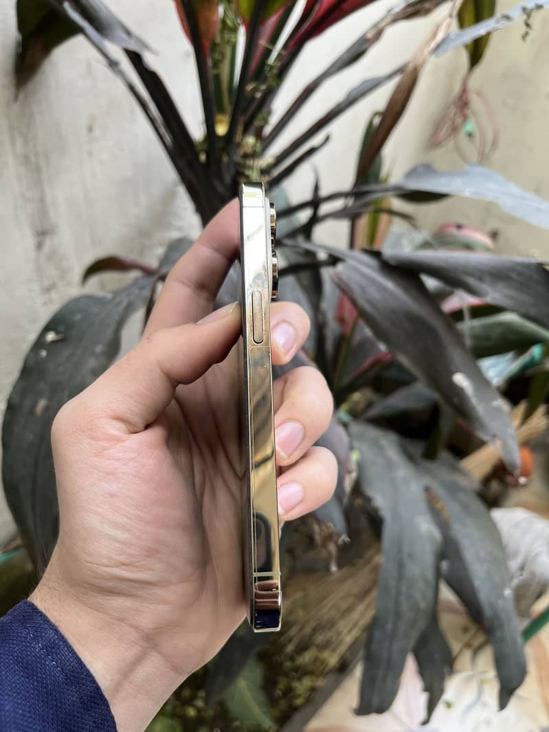 Apple iPhone 14 Pro 5