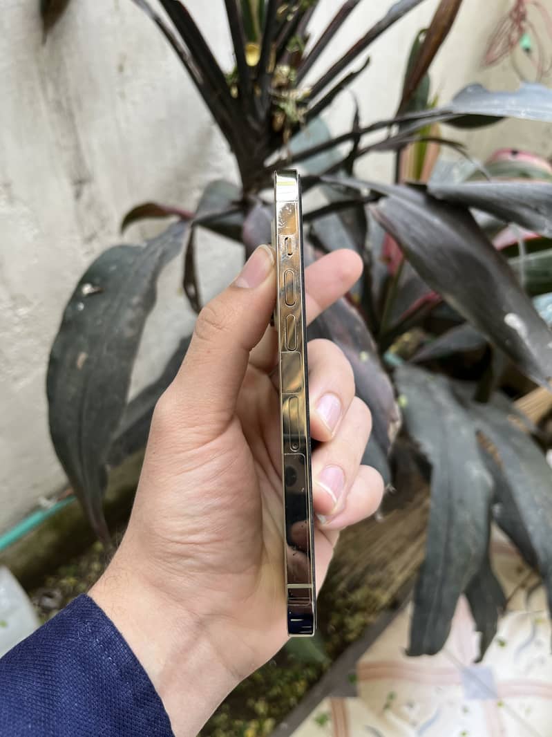 Apple iPhone 14 Pro 6