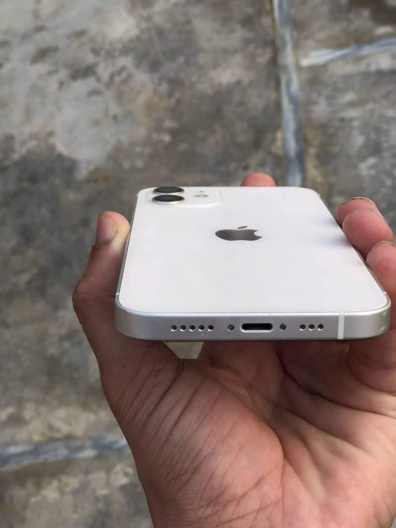 Apple iPhone 12 1