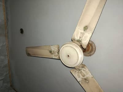 old fan