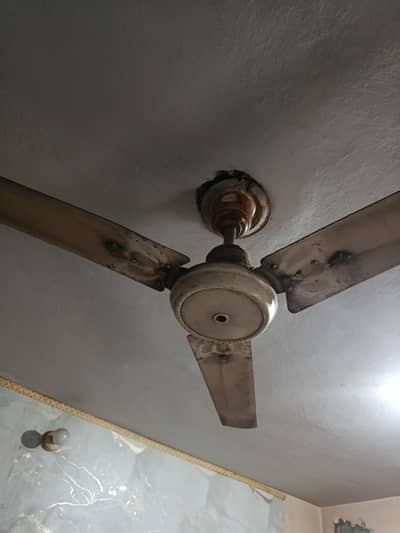 old fan