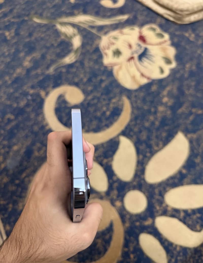 Apple iPhone 13 Pro Max 3