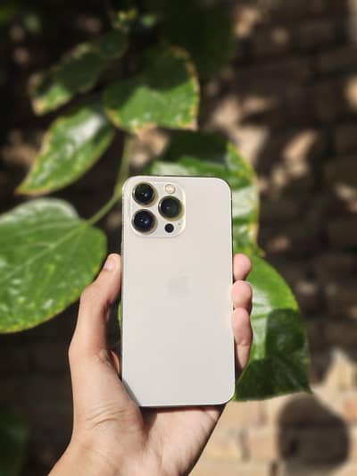 iPhone 13 Pro