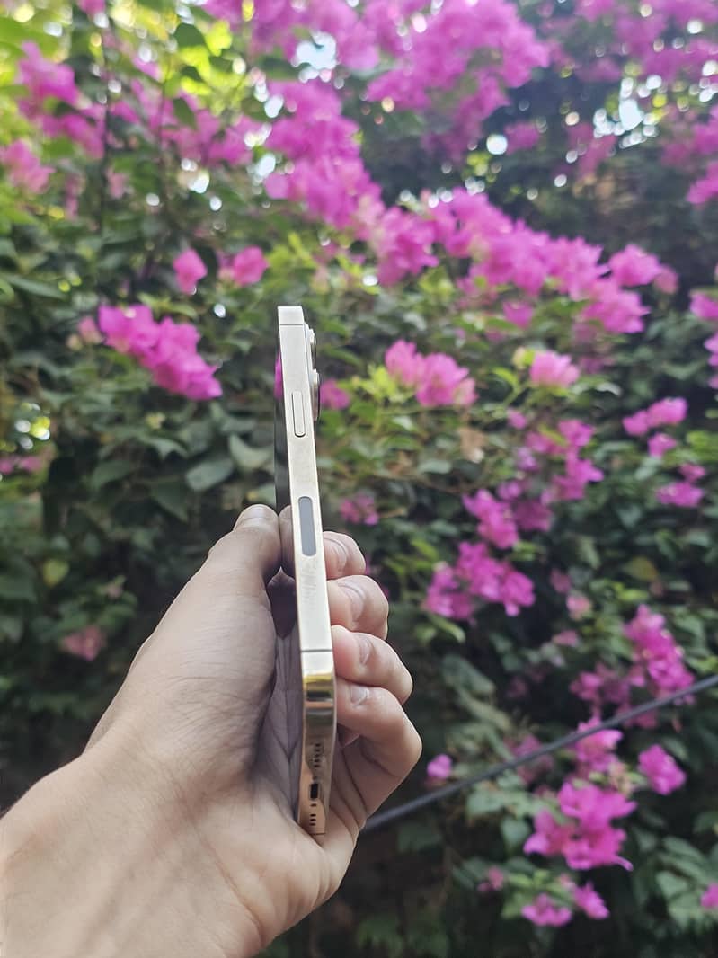 iPhone 13 Pro 1