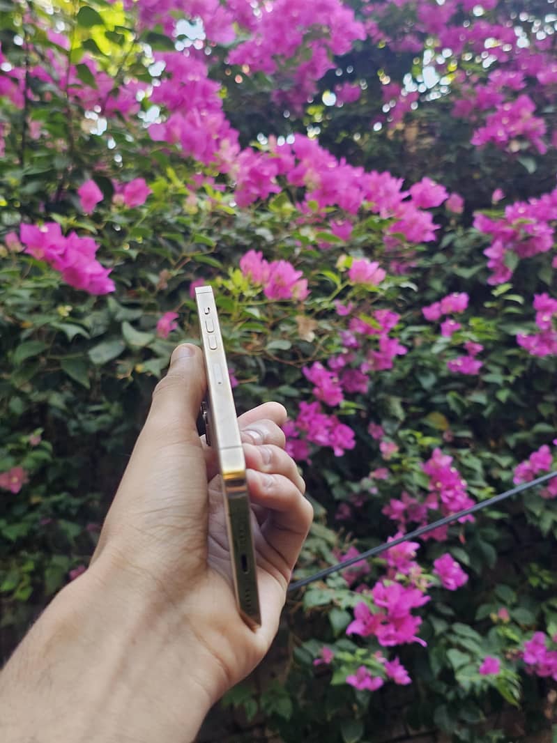 iPhone 13 Pro 2