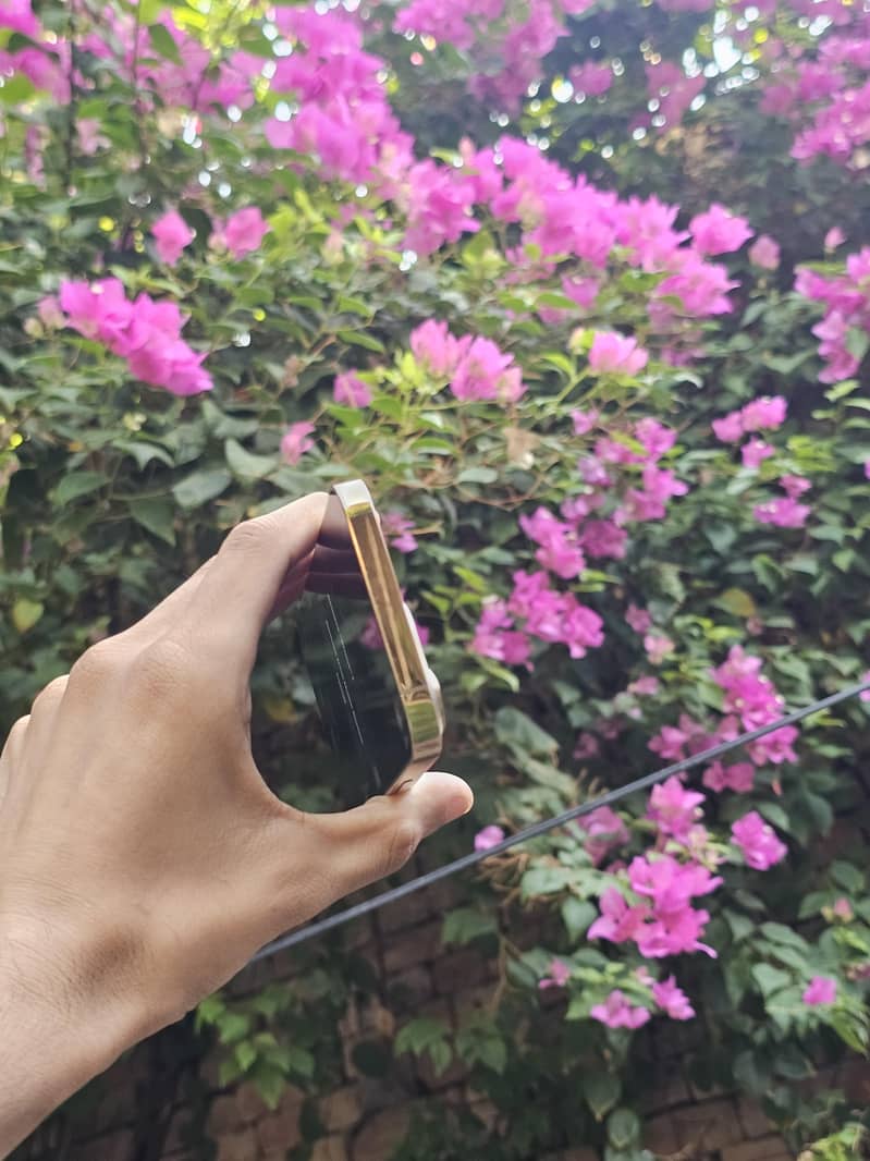 iPhone 13 Pro 3