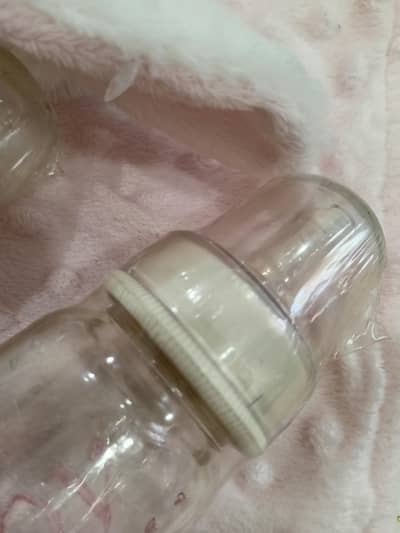 pigeon glass feeders