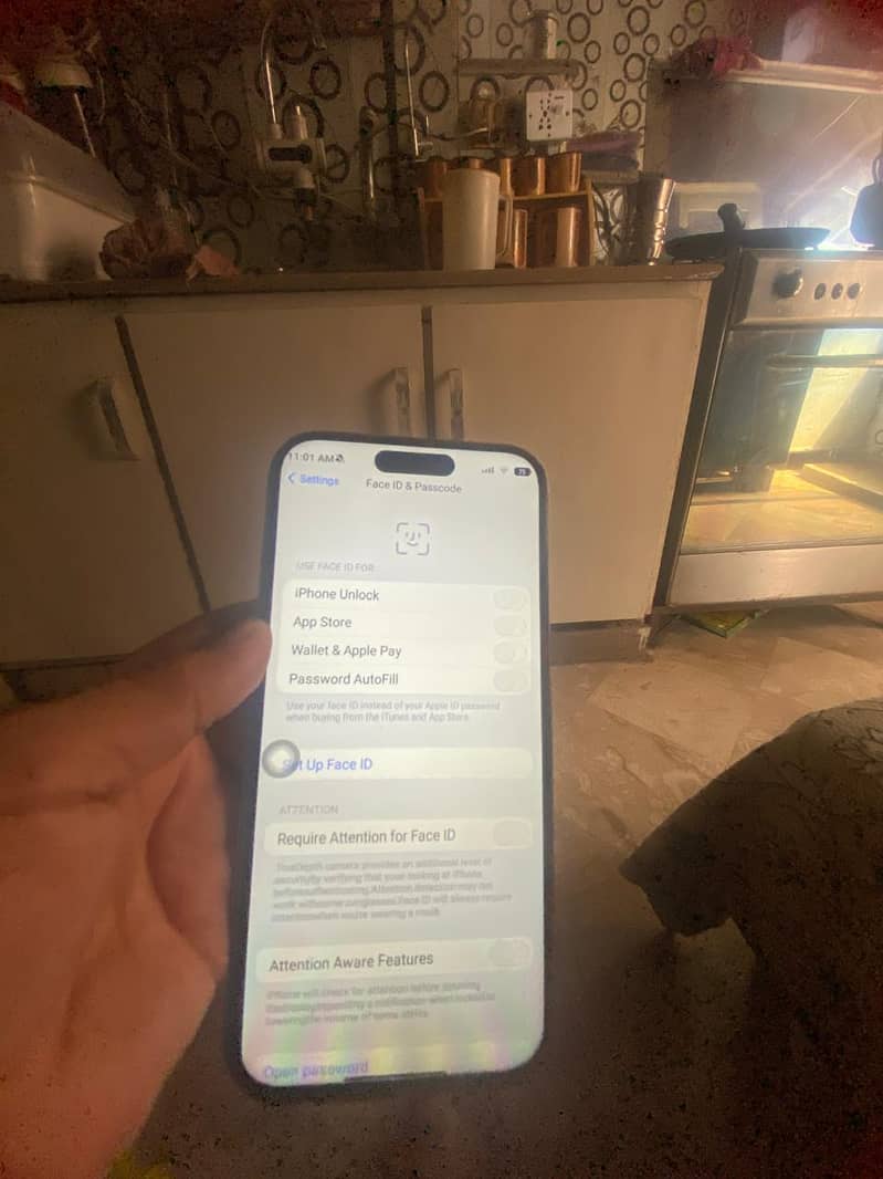 Apple iPhone 16 Pro Max 3