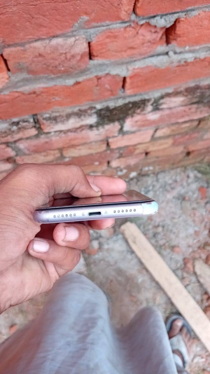 Apple iPhone 11 2