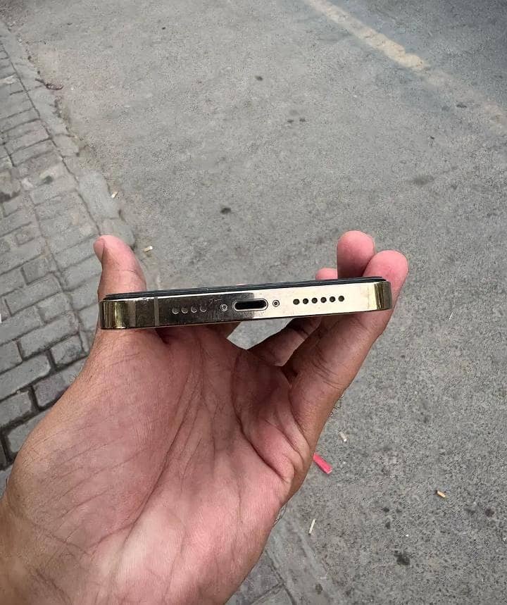 Apple iPhone 13 Pro Max 2