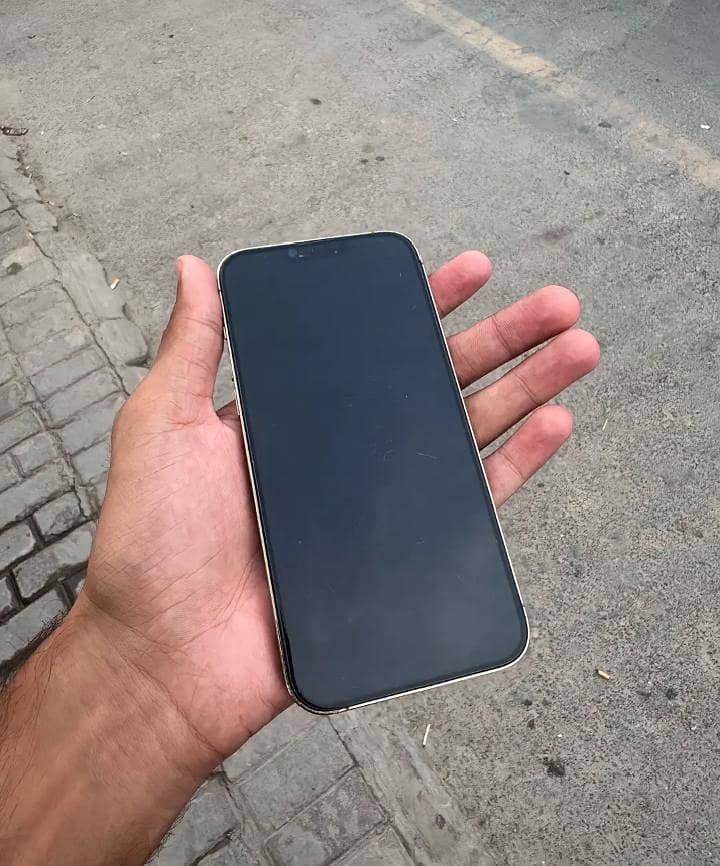 Apple iPhone 13 Pro Max 5