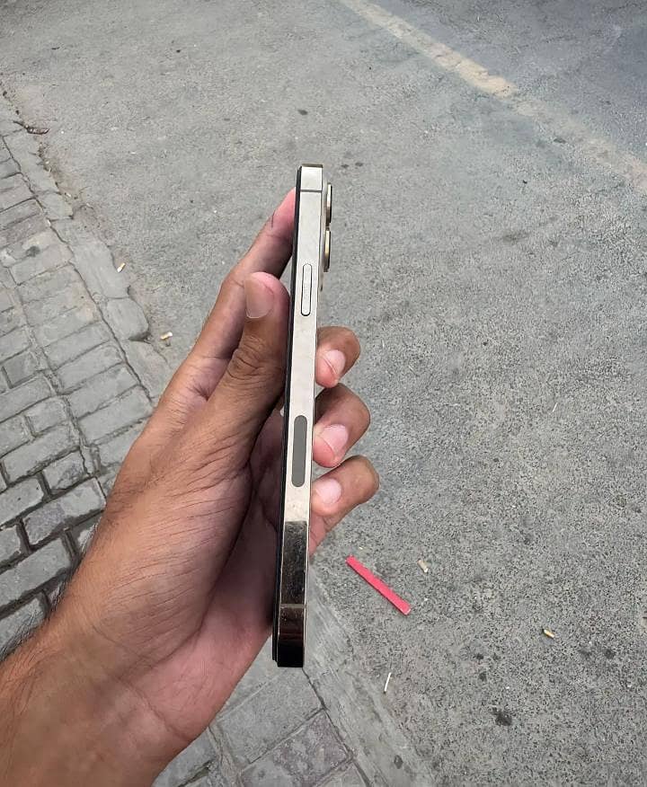 Apple iPhone 13 Pro Max 6