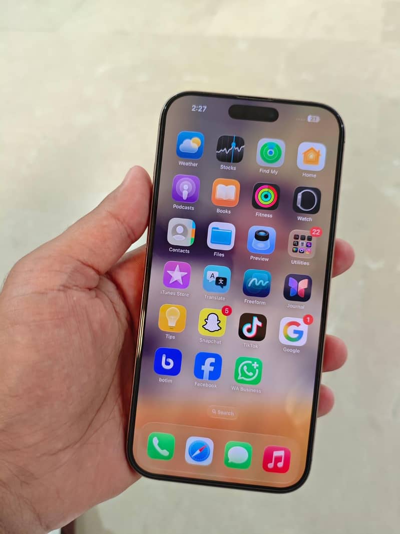 Apple iPhone 16 Pro Max 1